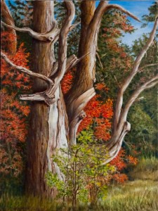 "Knarley" Knarley Painting