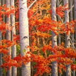 October Birch Painting
