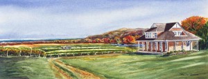 Heron Pond Benchland Vineyard - Beamsville